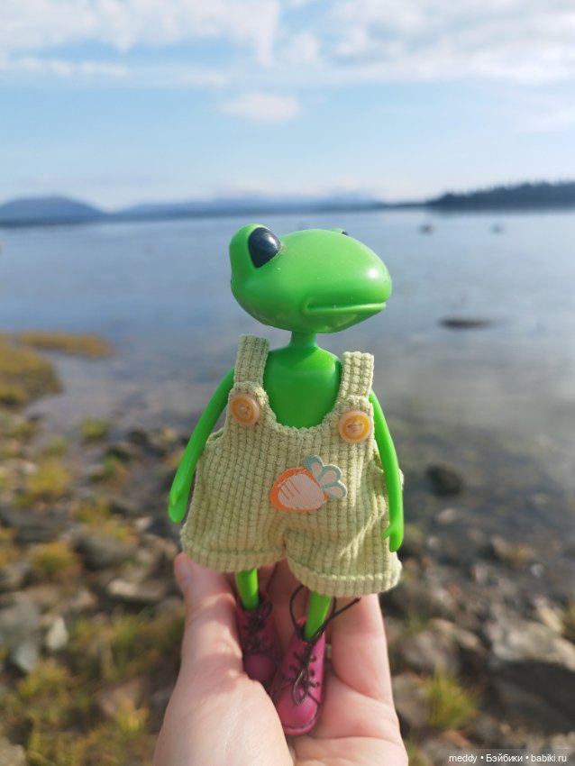 Мои любимые лягухи ( Wonder Frog) Прибавление