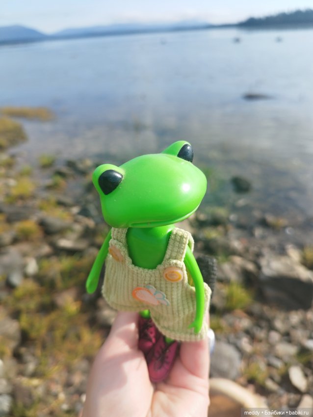 Мои любимые лягухи ( Wonder Frog) Прибавление