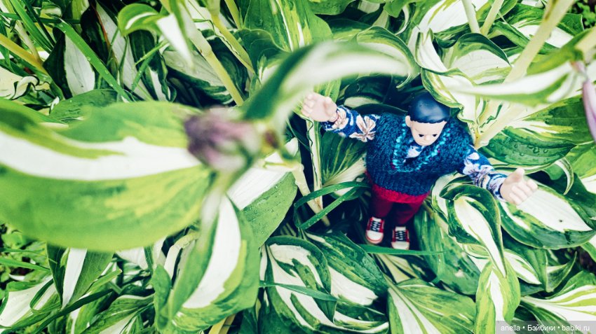 Дик. Немного июля — Экшн (фото 9)