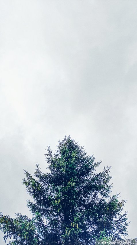 Дик. Немного июля — Экшн (фото 2)