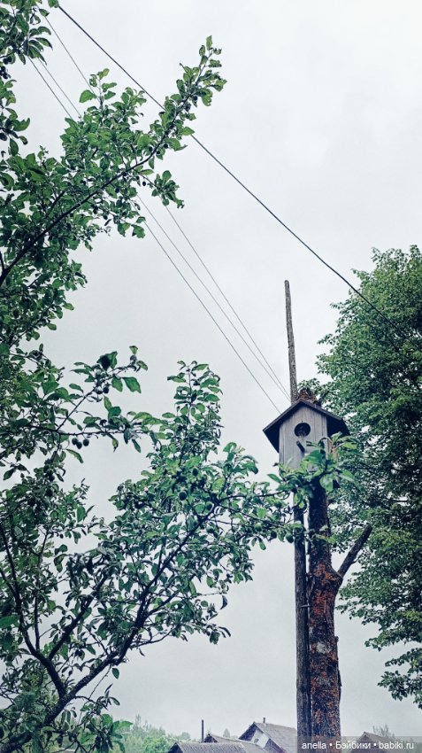 Дик. Немного июля — Экшн