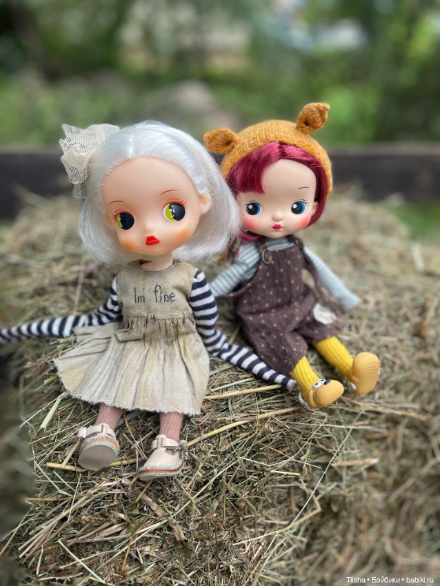 Дачницы ( Holala и Amooooore ) (фото 2)