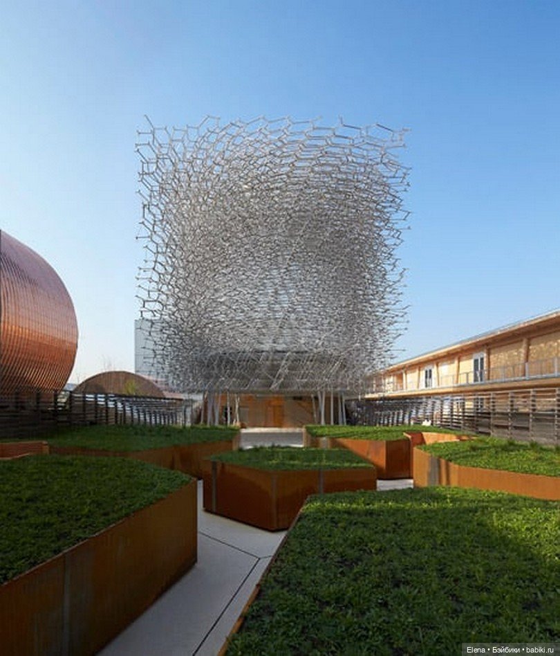 Улей - Wolfgang Buttress — Авторская скульптура и статуэтки: гипс (фото 7)