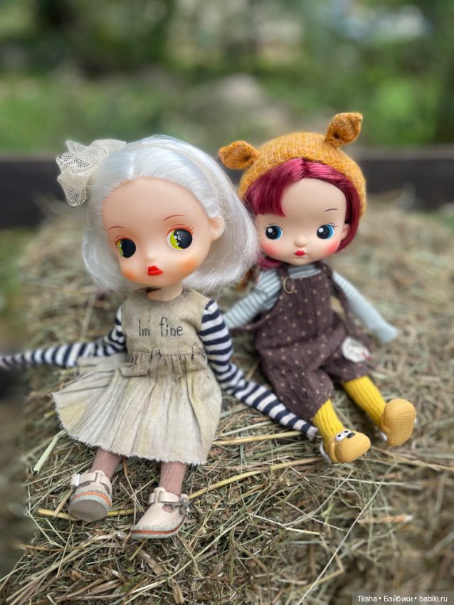 Дачницы ( Holala и Amooooore ) (фото 3)