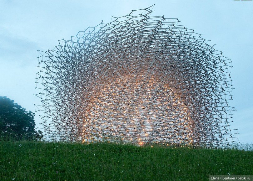 Улей - Wolfgang Buttress — Авторская скульптура и статуэтки: гипс