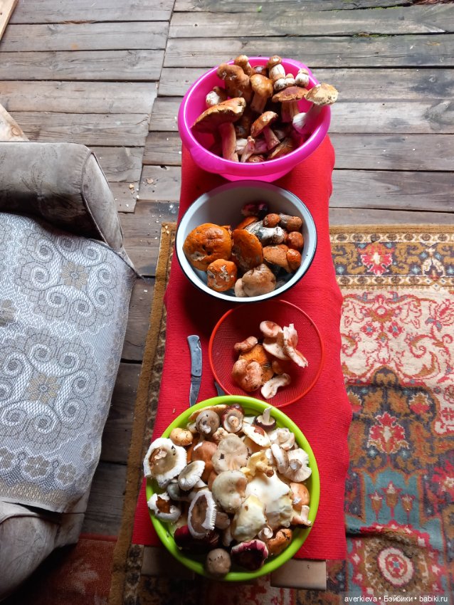 Матильда в лесу — Текстильные игрушки и примитивы: кофейные