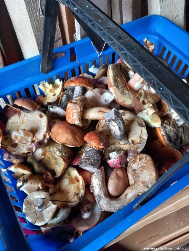 Матильда в лесу — Текстильные игрушки и примитивы: кофейные