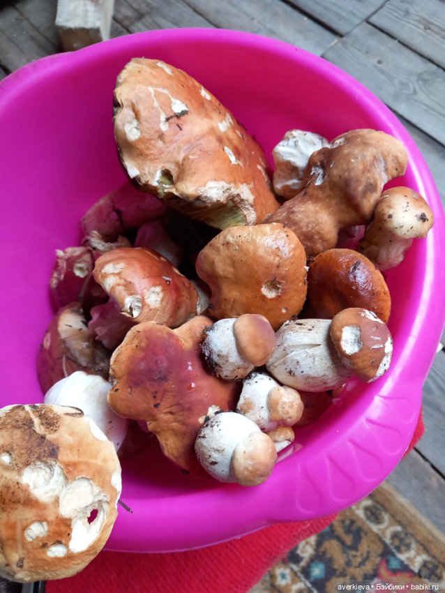 Матильда в лесу — Текстильные игрушки и примитивы: кофейные