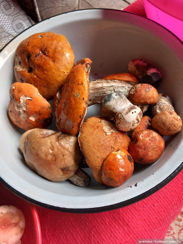 Матильда в лесу — Текстильные игрушки и примитивы: кофейные