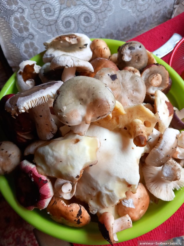 Матильда в лесу — Текстильные игрушки и примитивы: кофейные