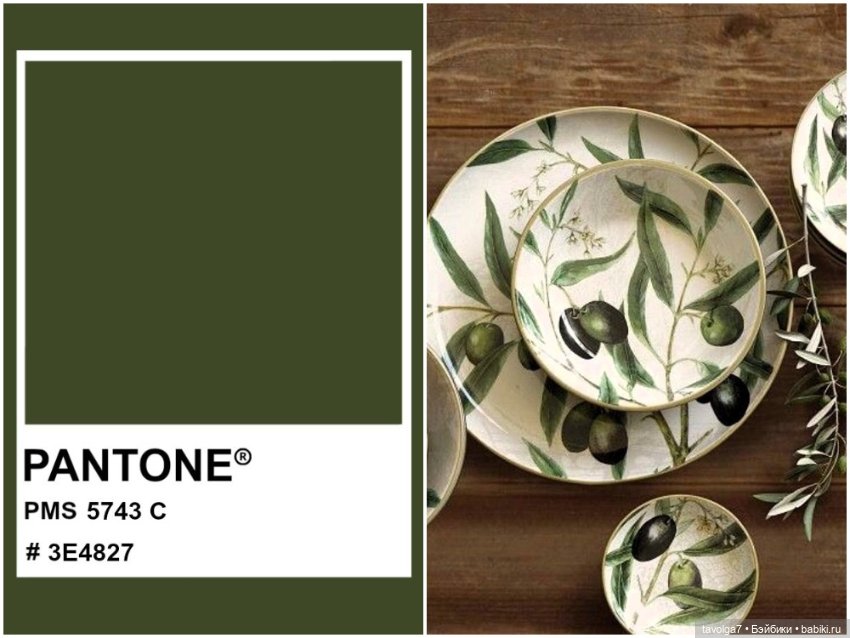 Оливы - деревья, плоды, цвет