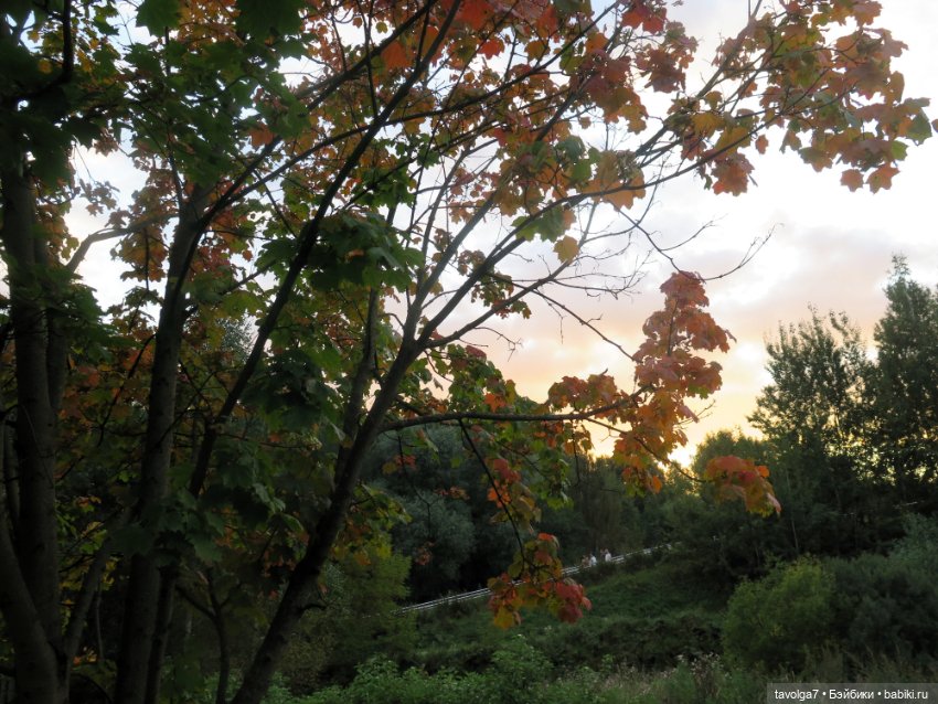 6 сентября - День Рыжих! Умница и Стильняшка от "Весна" (фото 5)