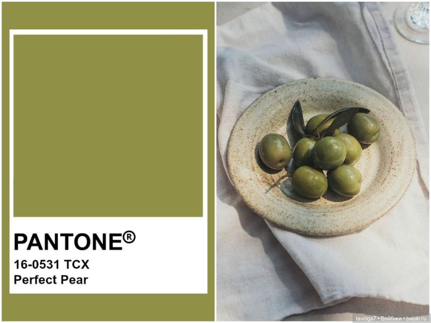 Оливы - деревья, плоды, цвет