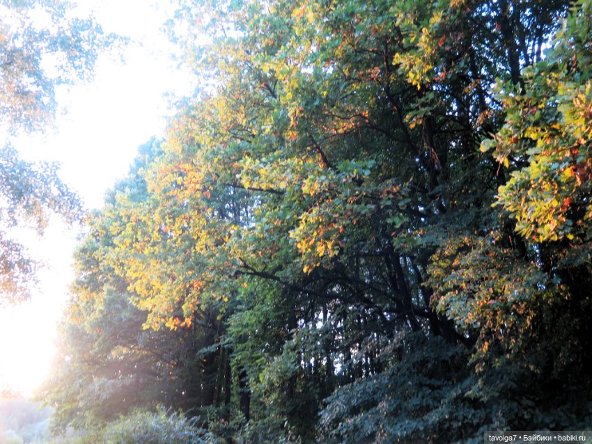 6 сентября - День Рыжих! Умница и Стильняшка от "Весна" (фото 3)