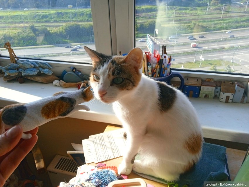 6 сентября - День Рыжих! Умница и Стильняшка от "Весна"