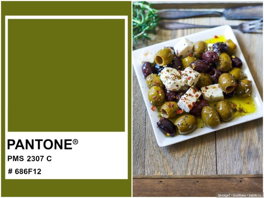 Оливы - деревья, плоды, цвет