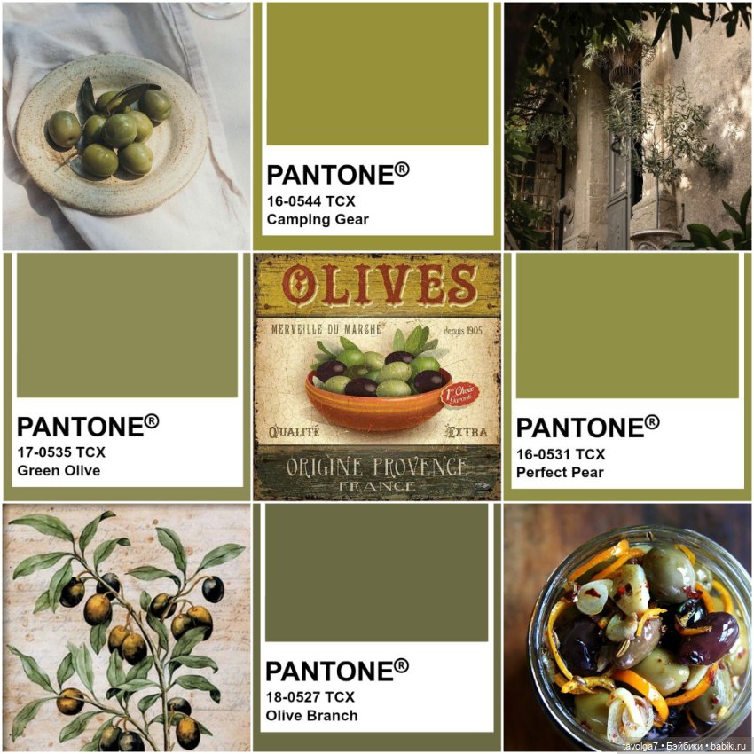 Оливы - деревья, плоды, цвет