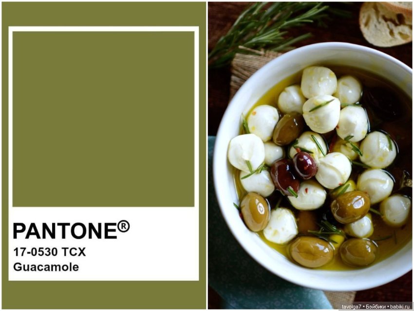 Оливы - деревья, плоды, цвет