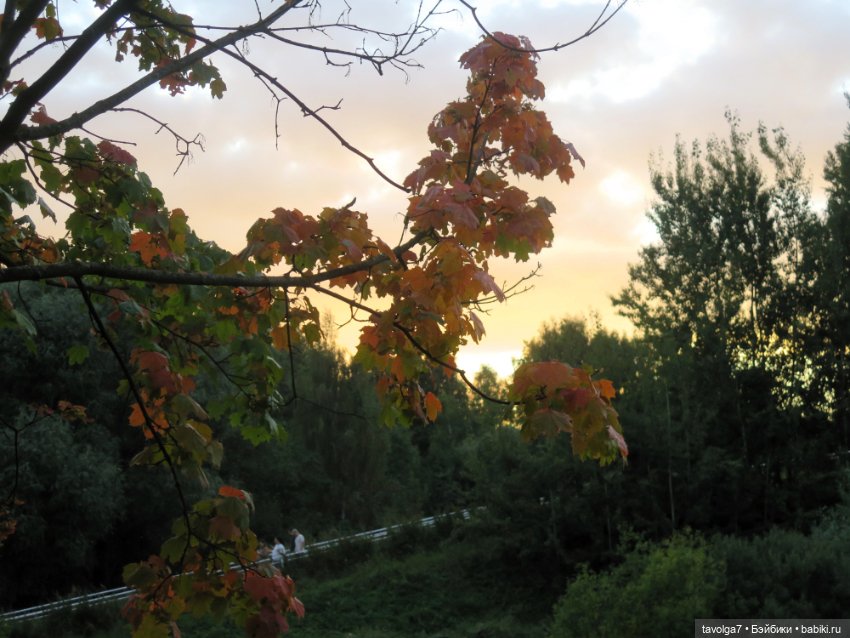 6 сентября - День Рыжих! Умница и Стильняшка от "Весна" (фото 4)