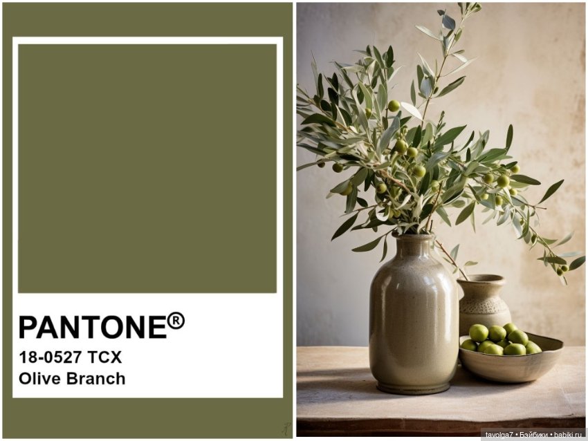 Оливы - деревья, плоды, цвет (фото 7)