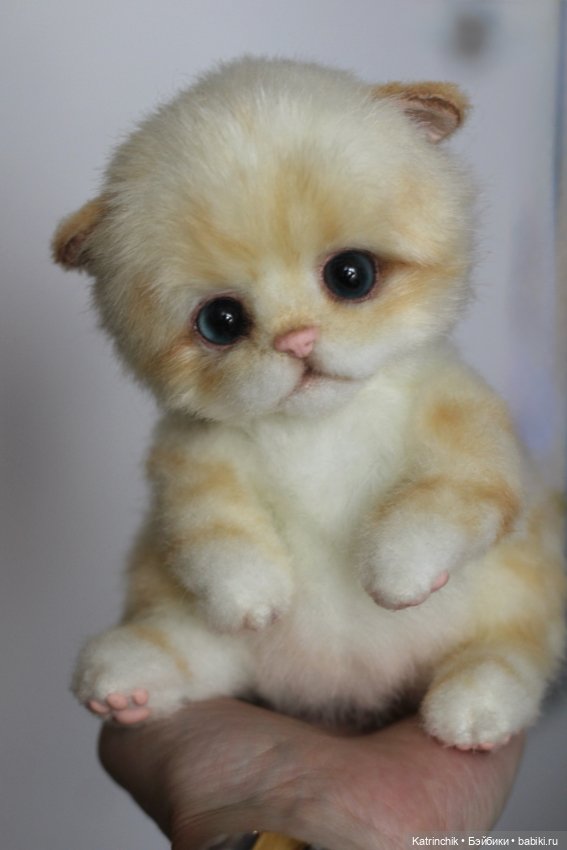 Котенок — Реалистичные игрушки и звери (Натюр): собаки