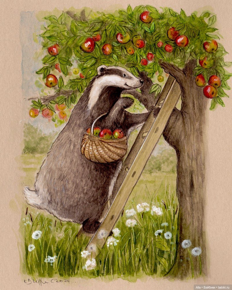 Иллюстрации Emily Duffin — Живопись и графика: творчество художников