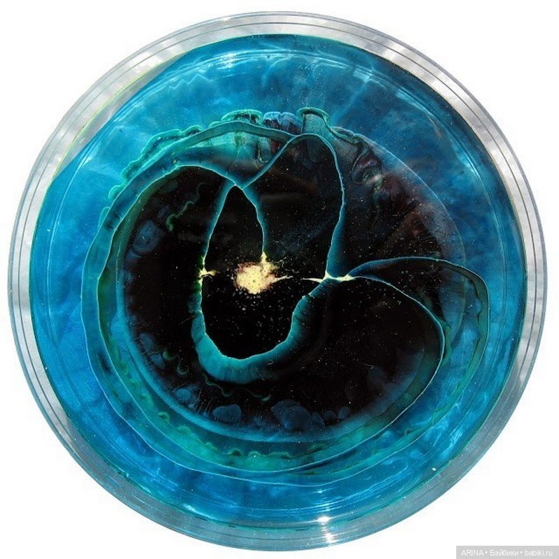 Klari Reis - картины в чашке Петри (фото 3)