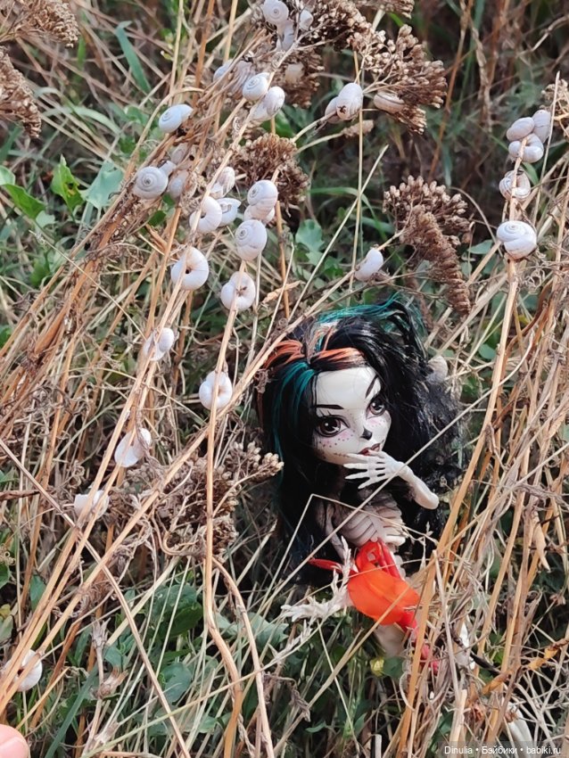 Скелита Калаверс гуляет — Куклы Monster High и Ever After High: G1 (фото 3)