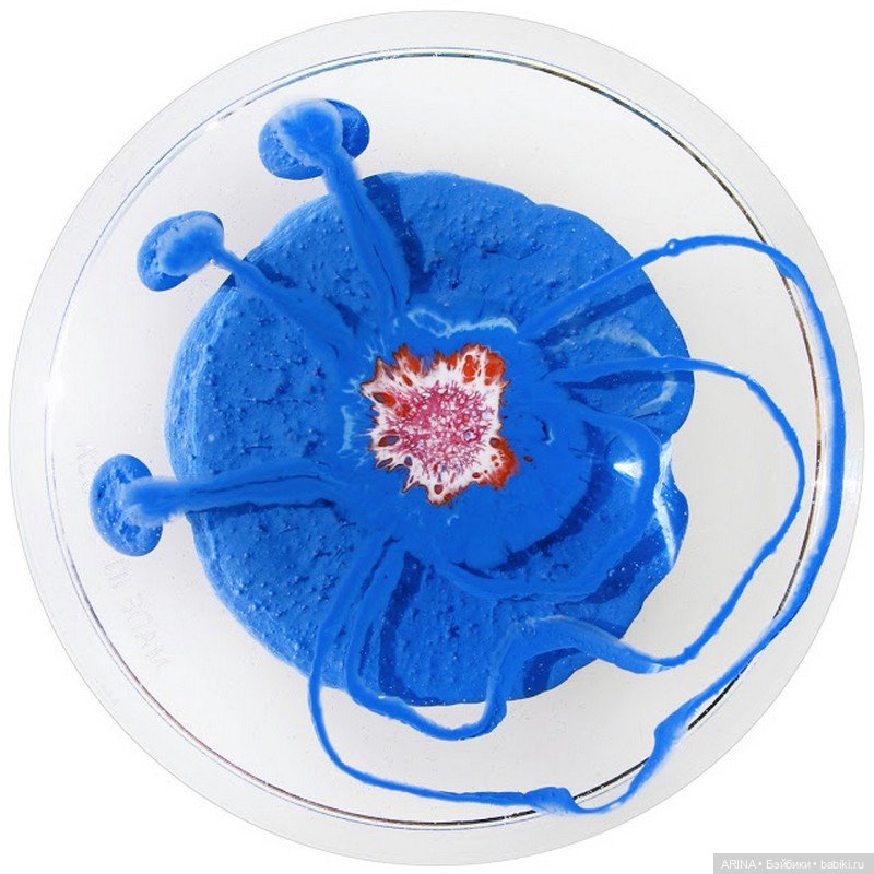 Klari Reis - картины в чашке Петри (фото 6)