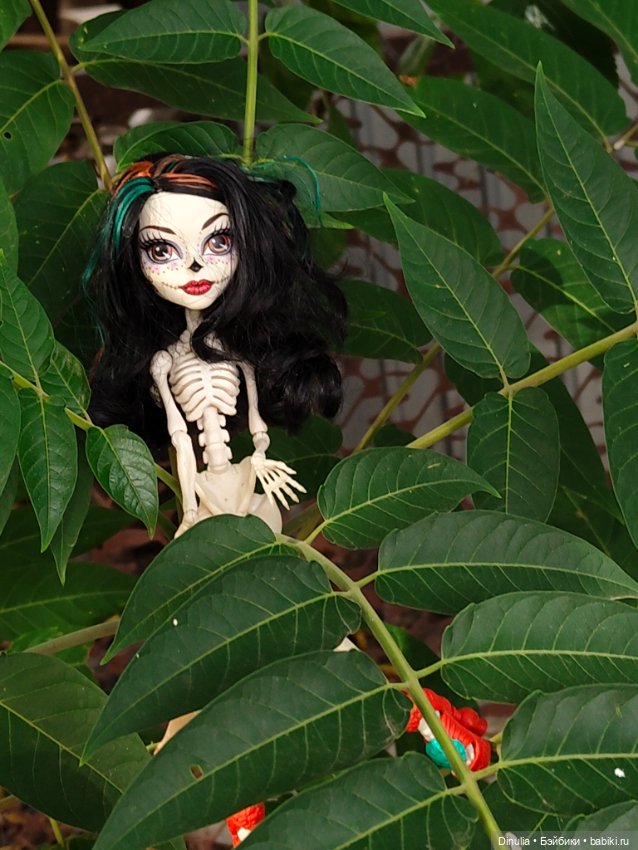Скелита Калаверс гуляет — Куклы Monster High и Ever After High: G1 (фото 4)
