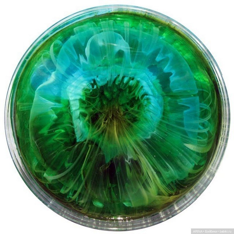 Klari Reis - картины в чашке Петри (фото 2)