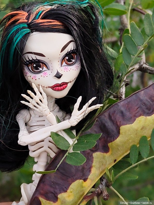 Скелита Калаверс гуляет — Куклы Monster High и Ever After High: G1 (фото 2)