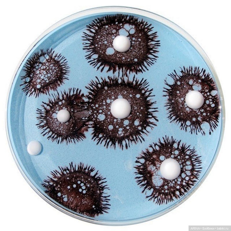 Klari Reis - картины в чашке Петри