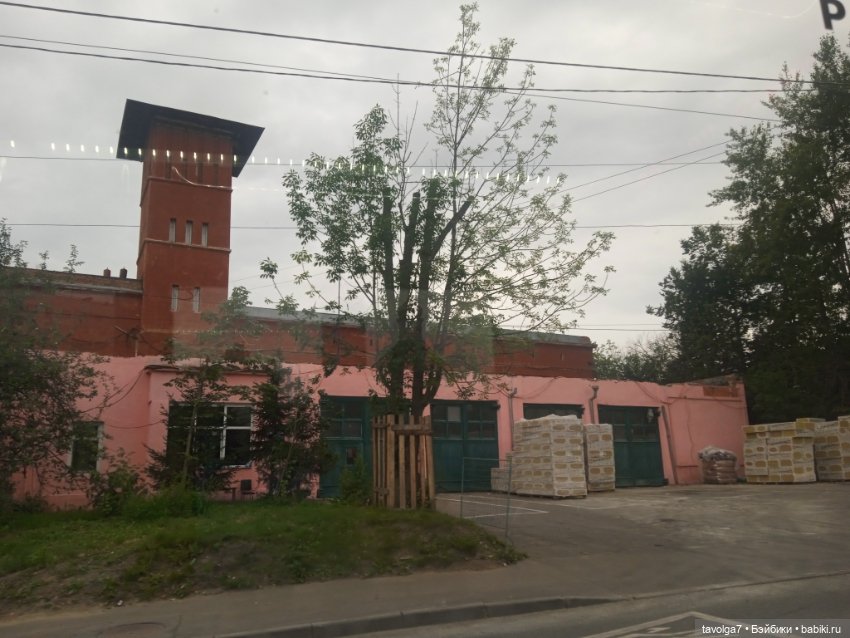 "Когда кажется, что аммонит этого города..."