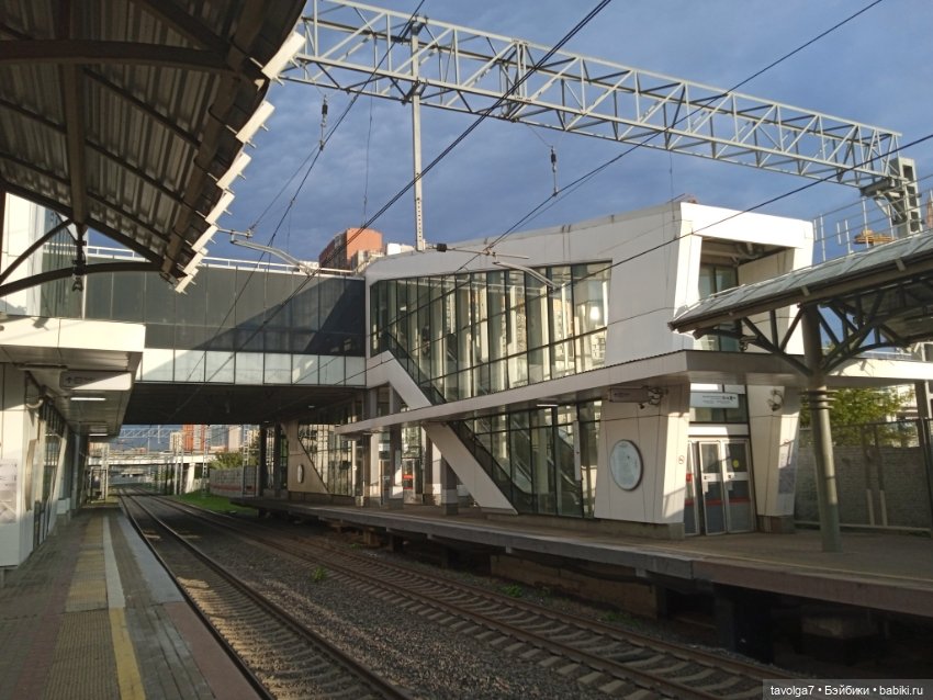 "Когда кажется, что аммонит этого города..."