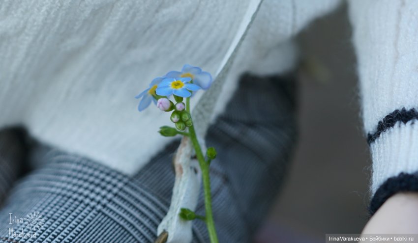 Осень. Зая — Куклы Natalia Loseva (Наталья Лосева): авторские BJD (БЖД) (фото 2)