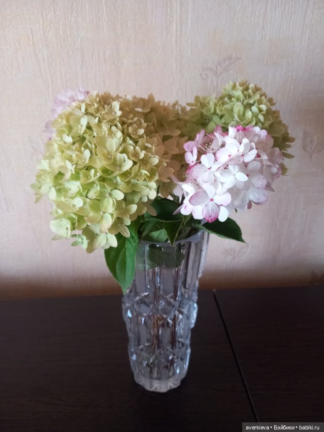 Чудесное превращение — Азиатские виниловые куклы (разное): Китай