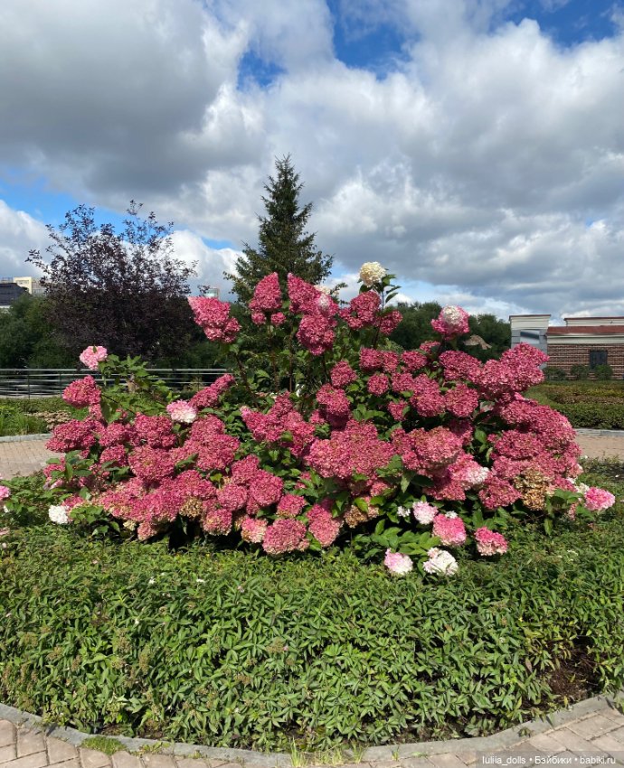 Гуляем по г.Екатеринбургу (фото 9)