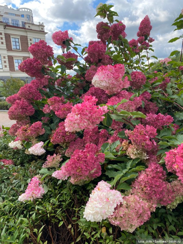 Гуляем по г.Екатеринбургу (фото 8)