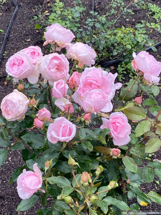 Гуляем по г.Екатеринбургу