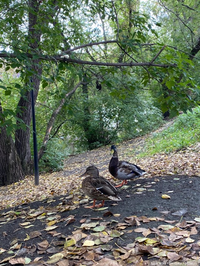 Гуляем по г.Екатеринбургу (фото 7)