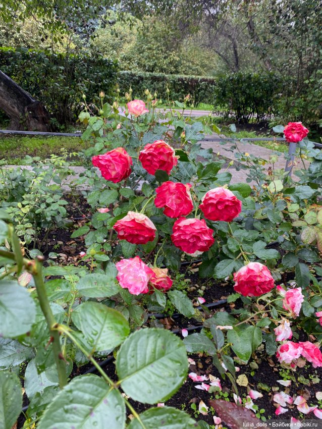 Гуляем по г.Екатеринбургу