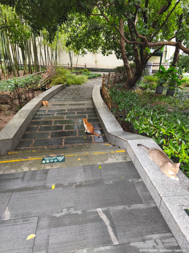 Шанхайский полдень: Приключения начинаются