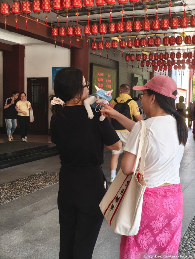 Шанхайский полдень: Храм Нефритового Будды