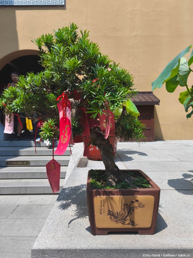 Шанхайский полдень: Храм Нефритового Будды