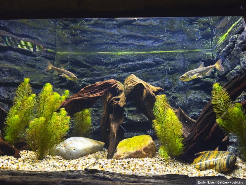 Шанхайский полдень: Океанариум