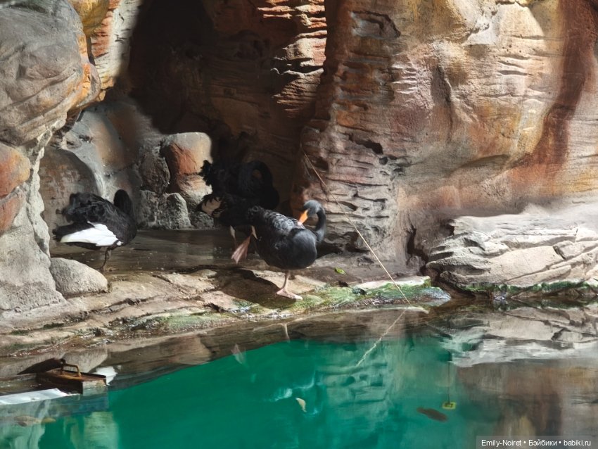 Шанхайский полдень: Океанариум