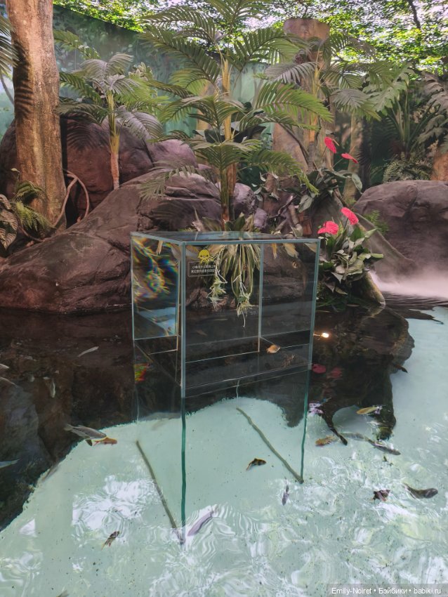 Шанхайский полдень: Океанариум