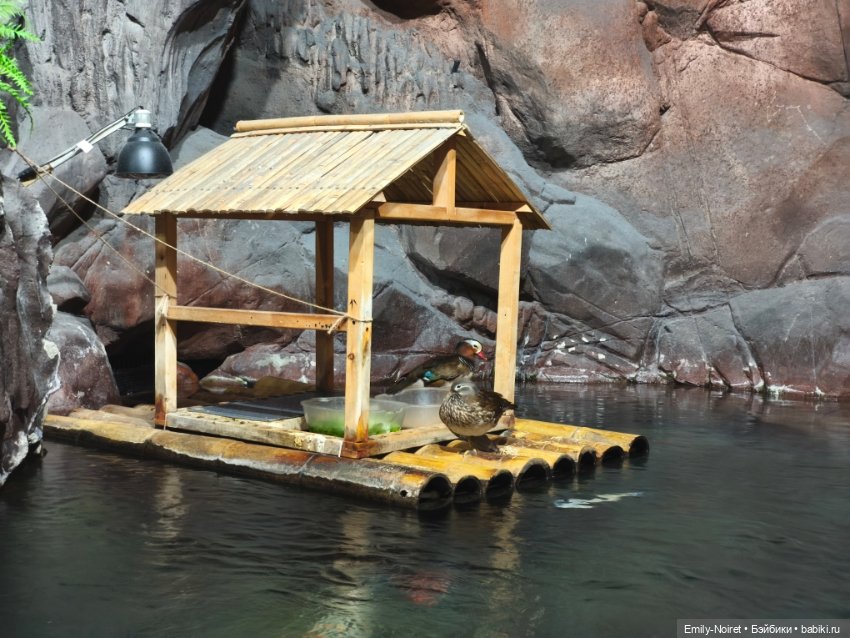 Шанхайский полдень: Океанариум