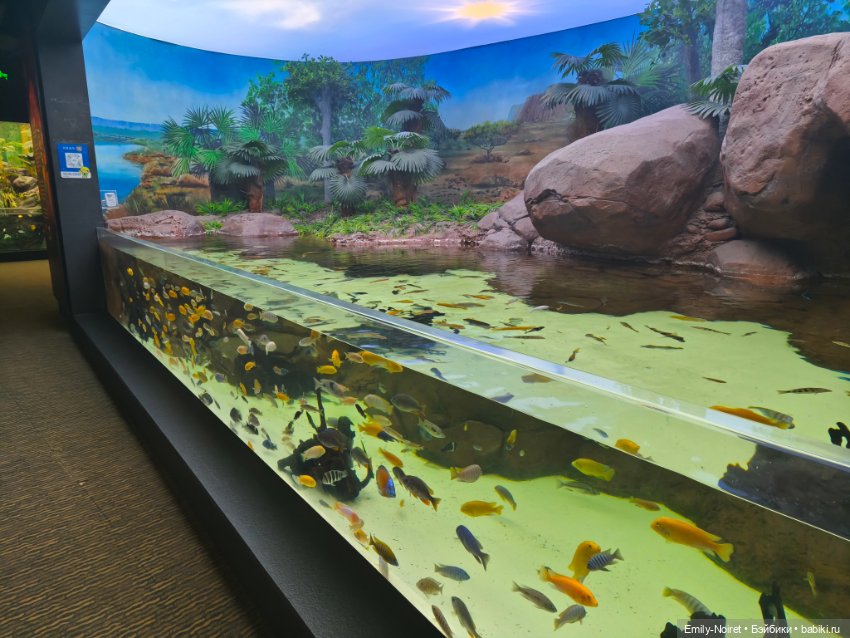 Шанхайский полдень: Океанариум